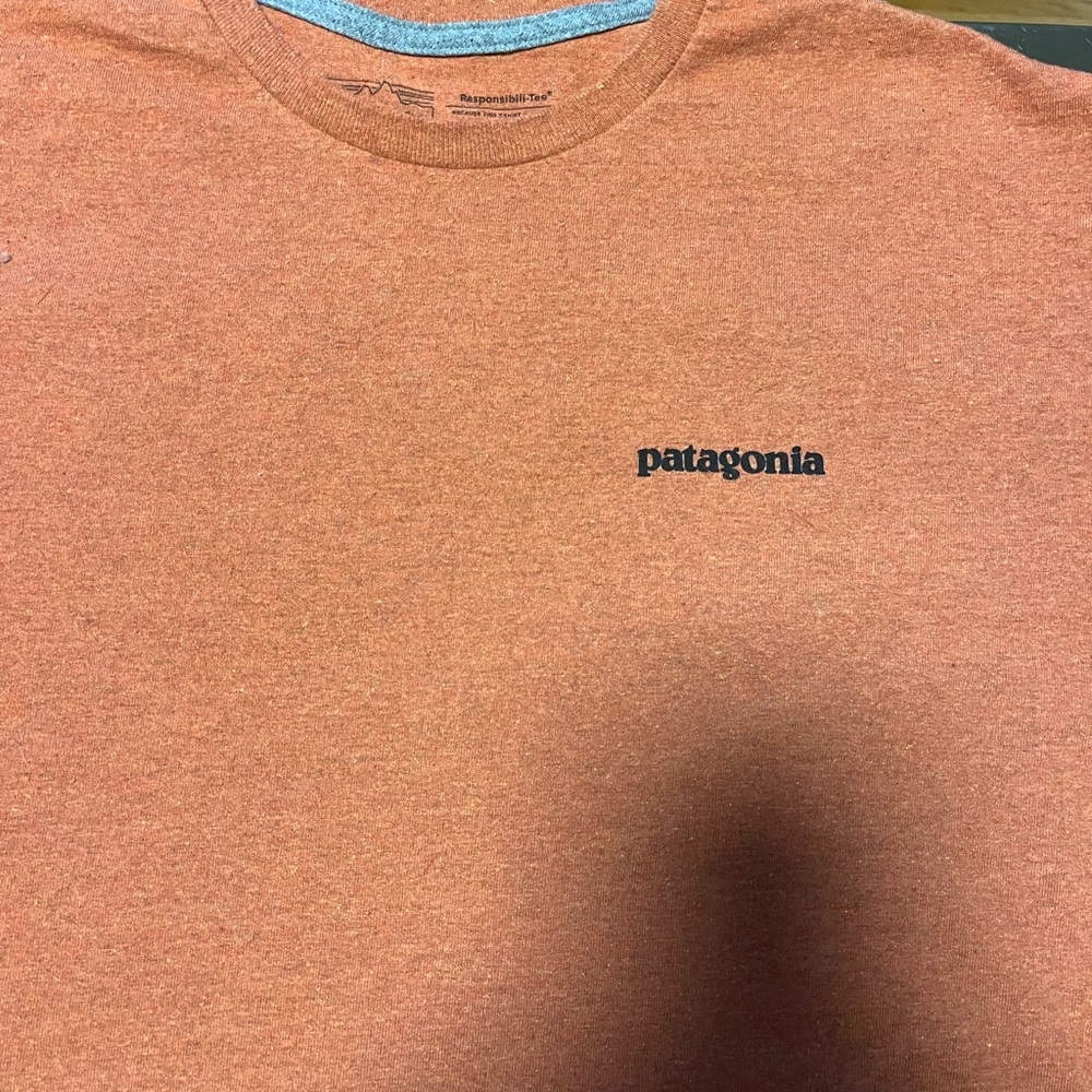 Patagonia Rust T-Shirt